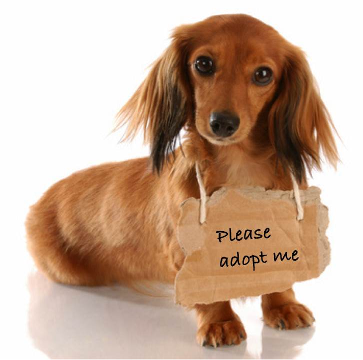 CRM Ease of Use vs. CRM Adoptability | CRM Switch CRM Ease of Use vs. CRM Adoptability | CRM Switch